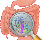 raffigurazione intestino con batteri